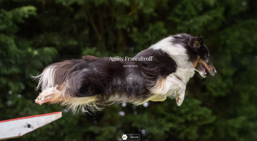 Mobirise Website Builder